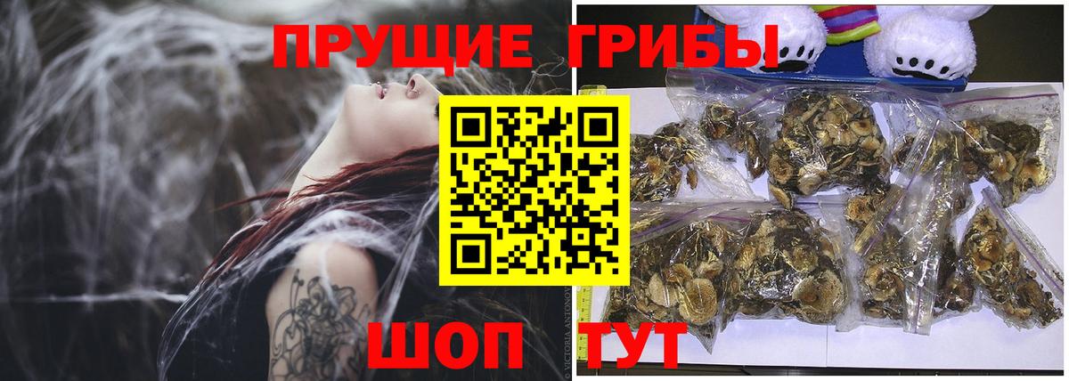 Псилоцибиновые грибы мухоморы  продажа наркотиков  Вход с VPN  Тверь  Псилоцибиновые грибы GOLDEN TEACHER 