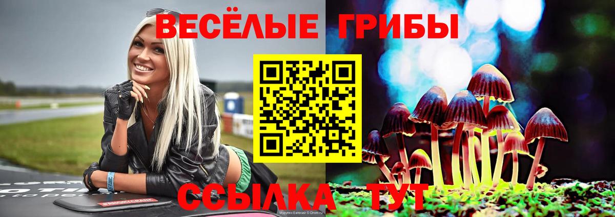 Псилоцибиновые грибы Magic Shrooms Тверь