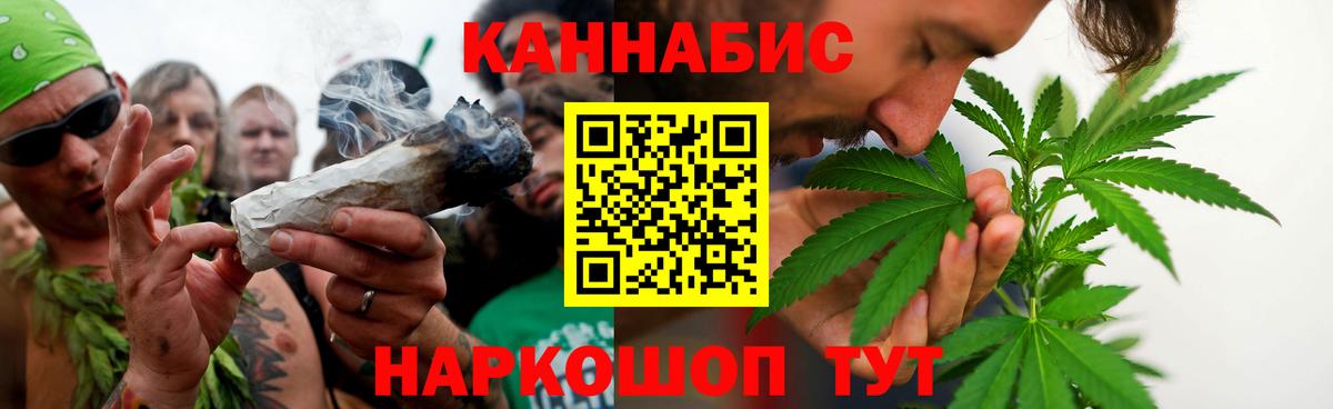 Марихуана сатива Тверь